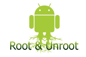 Root