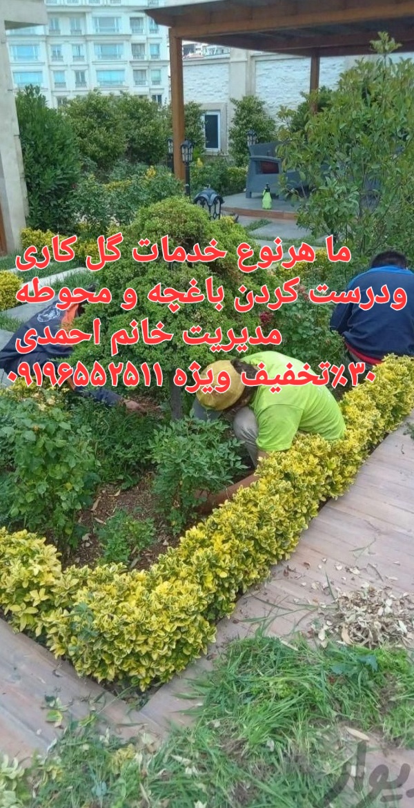 خدمات باغبانی درمحل /09196552511