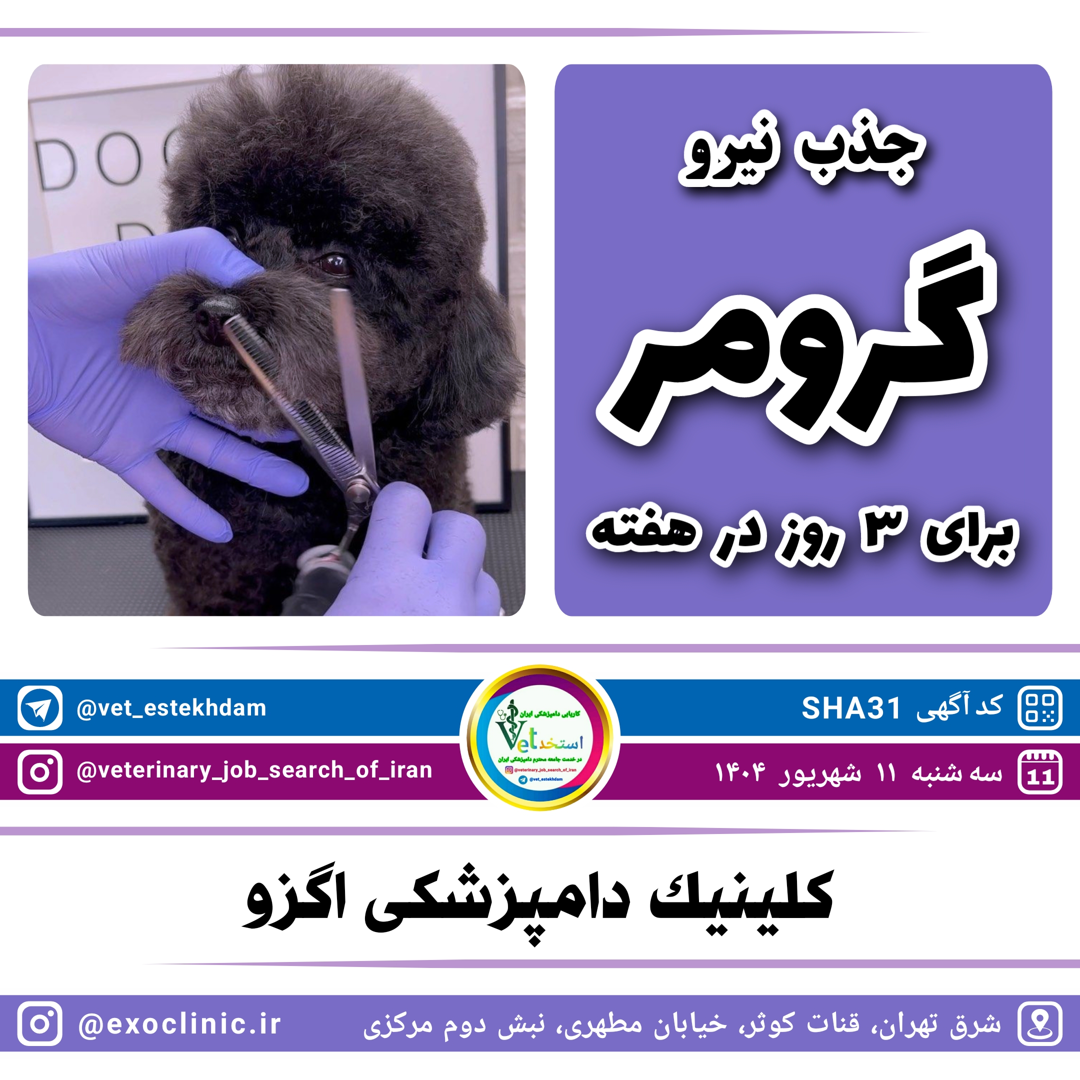 آگهی استخدام استخدام گرومر در کلینیک دامپزشکی اگزو واقع در شرق تهران در نامشخص از شرکت <h2>PHP Error [8192]</h2><b>Message:</b> htmlspecialchars(): Passing null to parameter #1 ($string) of type string is deprecated<br><b>File:</b> /var/www/scraper/ads/src/View/partials/home-content.php<br><b>Line:</b> 64<br><hr><br />
<b>Deprecated</b>:  htmlspecialchars(): Passing null to parameter #1 ($string) of type string is deprecated in <b>/var/www/scraper/ads/src/View/partials/home-content.php</b> on line <b>64</b><br />
