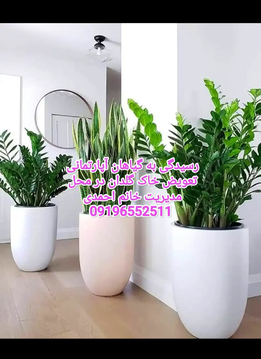 خدمات باغبانی گلکاری باغچه تعویض خاک گلدان خیابان دزارشیب تهران مدیریت خانم احمدی 09196552511