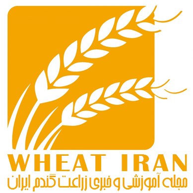 مجله آموزشی و خبری زراعت گندم ایران