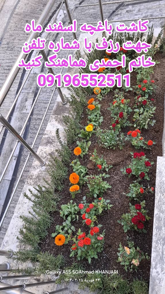 خدمات باغبانی درمحل /09196552511