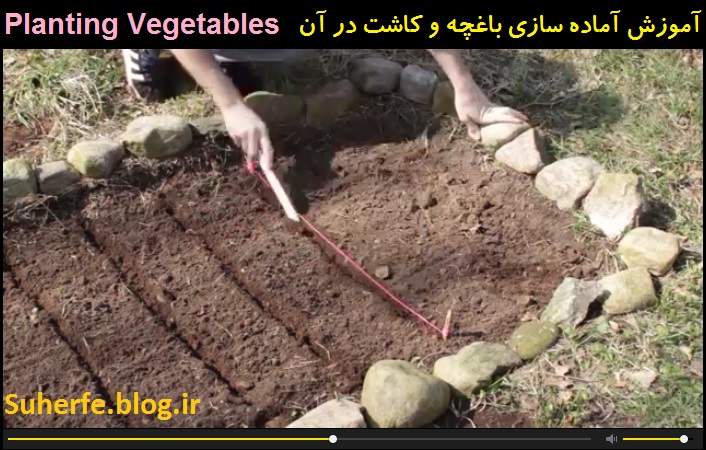 کلیپ آموزش آماده سازی و کاشت سبزی در باغچه