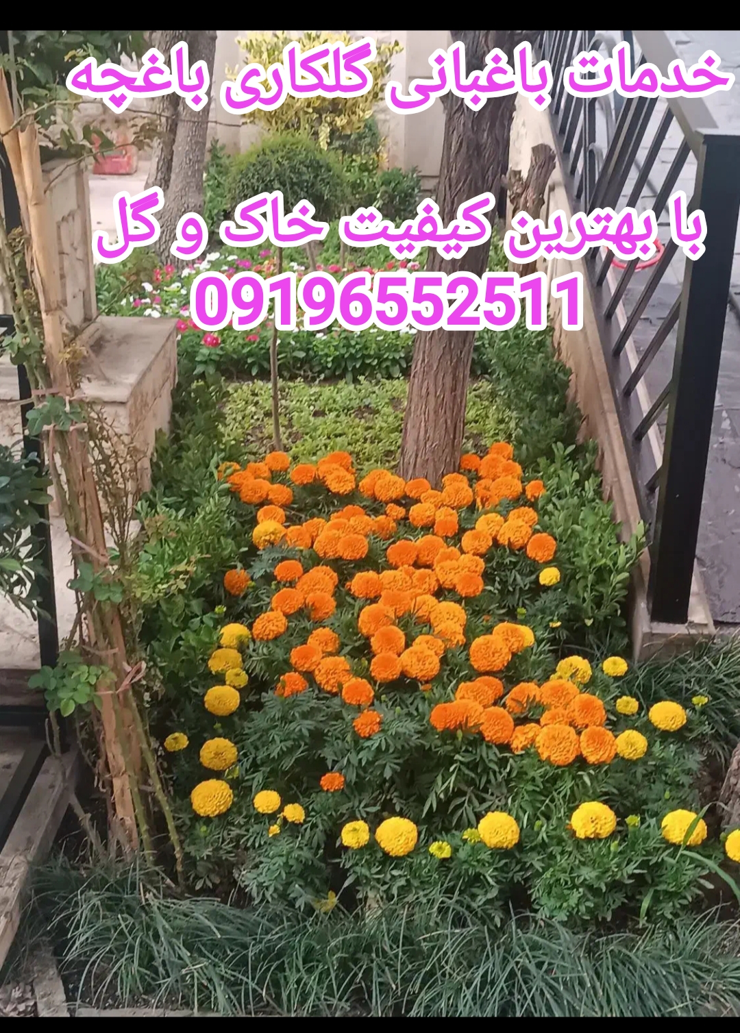 خدمات گلکاری تعویض خاک گلدان رسیدگی به گیاهان آپارتمانی میدان آژارتین 09196552511خانم احمدی