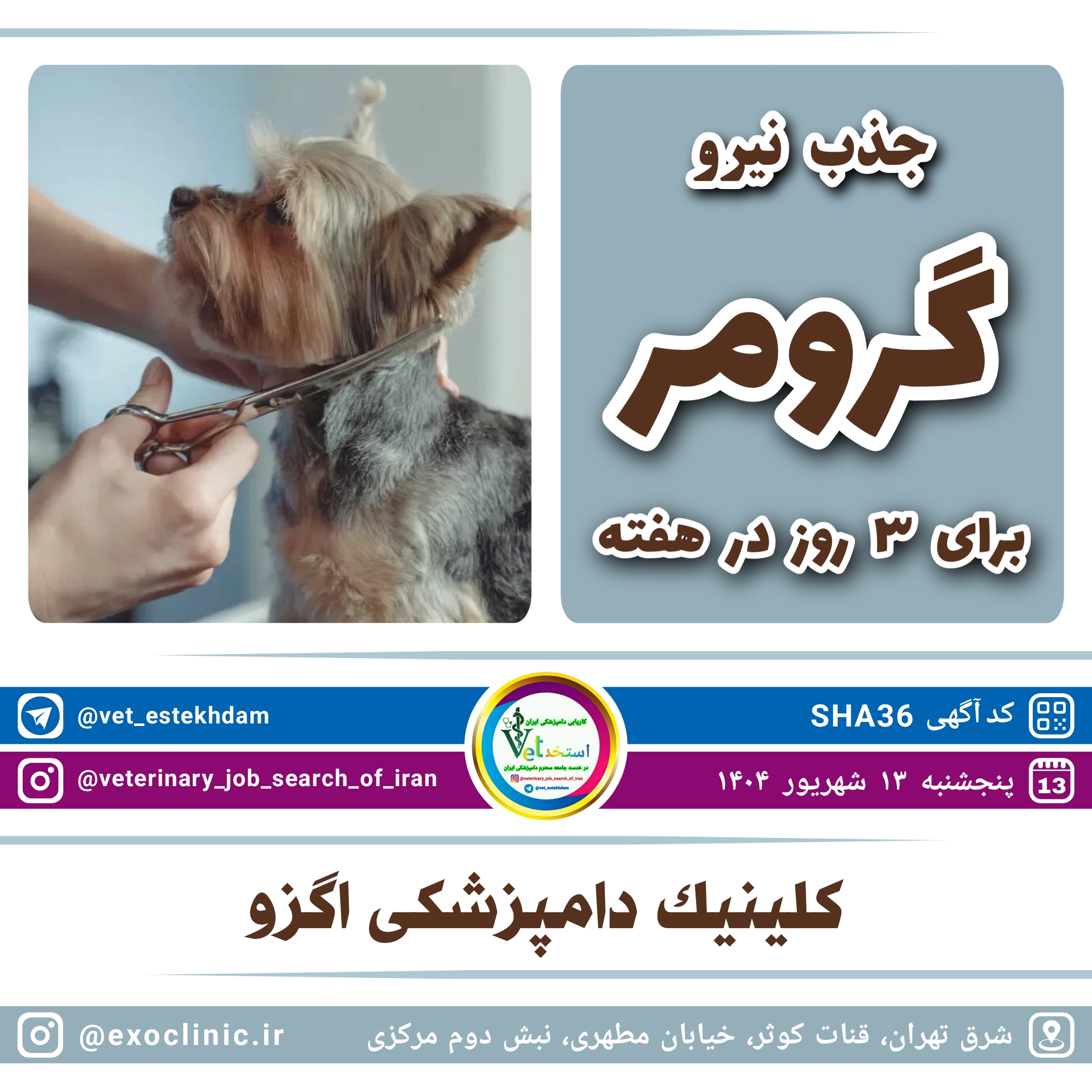آگهی استخدام استخدام گرومر حیوانات بصورت سه روز در هفته در کلینیک دامپزشکی اگزو در نامشخص از شرکت <h2>PHP Error [8192]</h2><b>Message:</b> htmlspecialchars(): Passing null to parameter #1 ($string) of type string is deprecated<br><b>File:</b> /var/www/scraper/ads/src/View/partials/home-content.php<br><b>Line:</b> 64<br><hr><br />
<b>Deprecated</b>:  htmlspecialchars(): Passing null to parameter #1 ($string) of type string is deprecated in <b>/var/www/scraper/ads/src/View/partials/home-content.php</b> on line <b>64</b><br />
