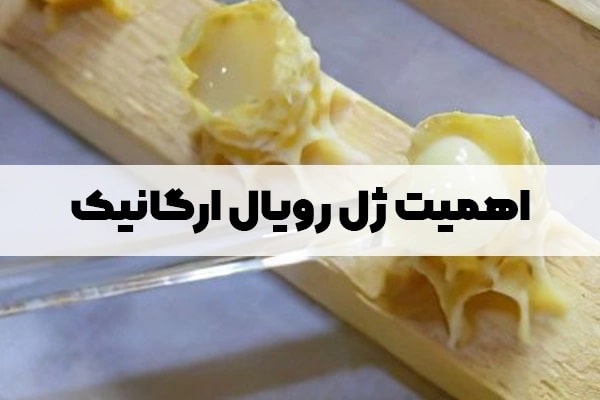 اهمیت ژل رویال ارگانیک: چرا باید به انتخاب ارگانیک توجه کنیم؟