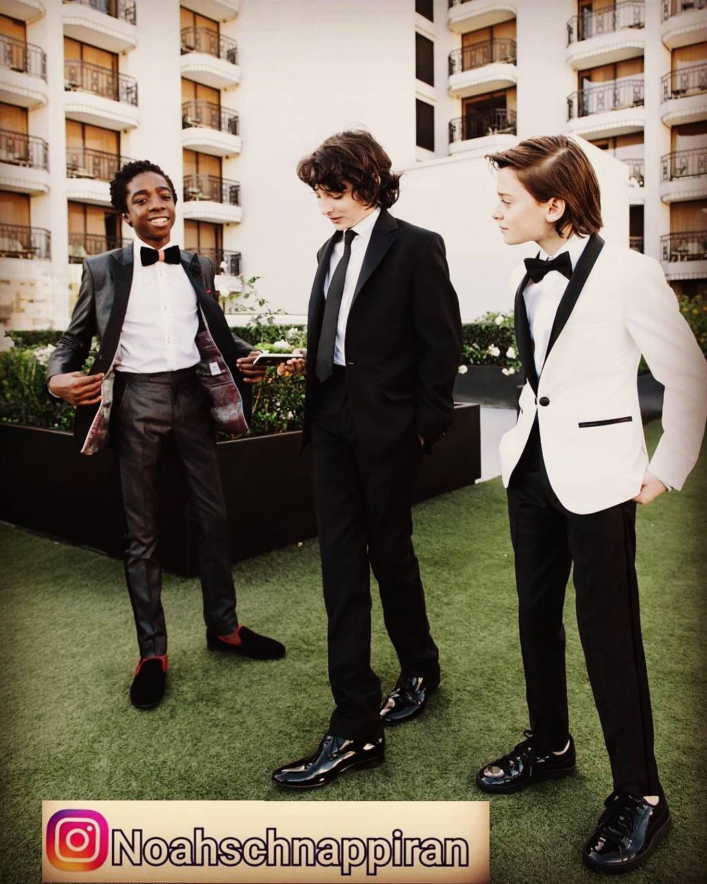 نوآ اشنپNoah Schnapp