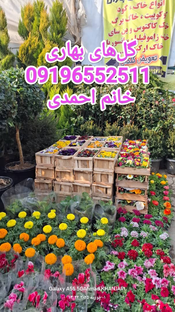 خدمات باغبانی درمحل /09196552511