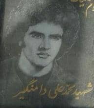 شهید دامن گیر-محمدعلی