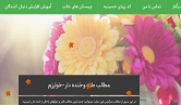 معرفی وبلاگ مطالب طنز وخنده دار-خوارزم