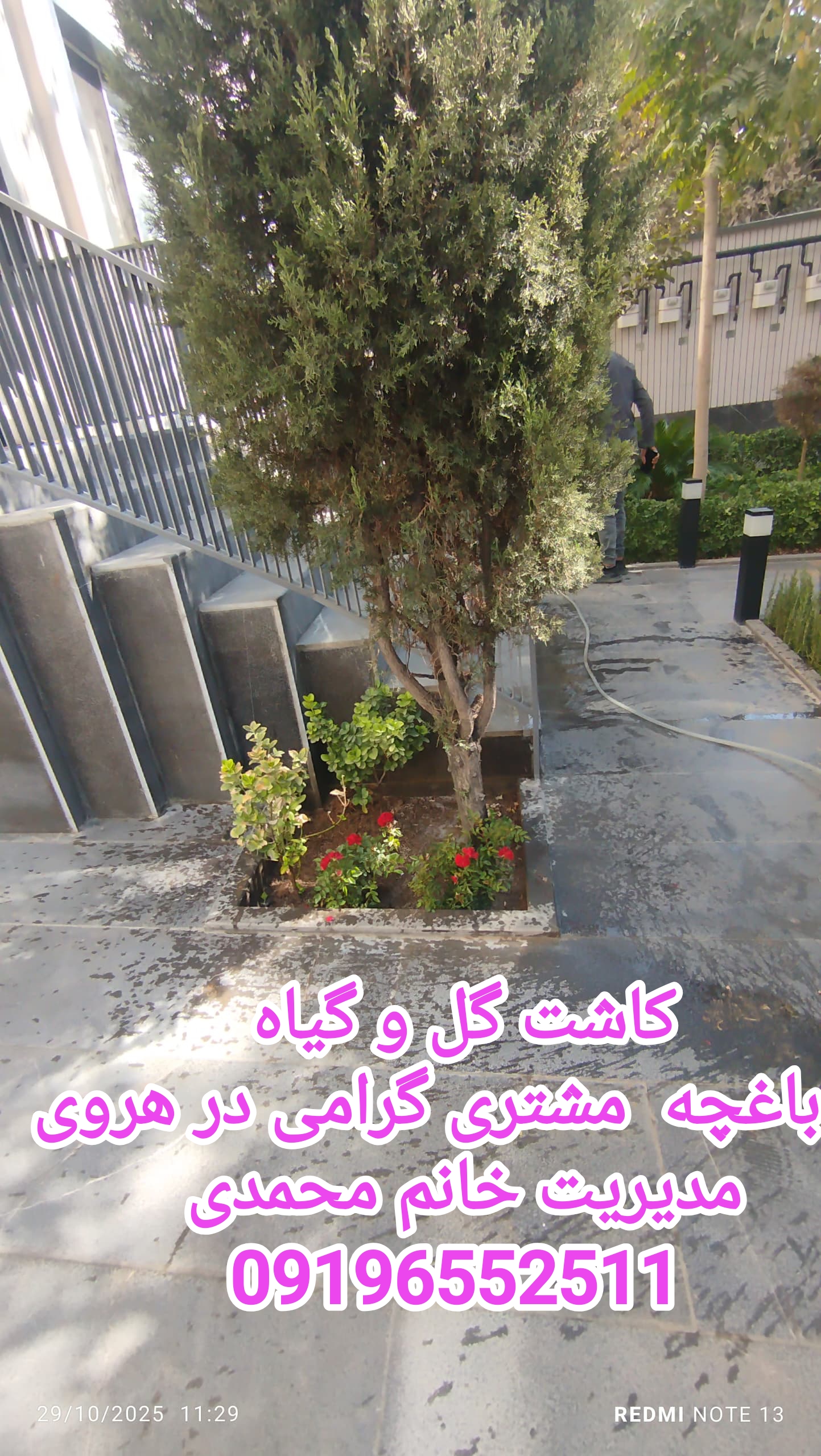 کلیه خدمات باغچه تعویض خاک گلدان در محل چیتگر با مدیریت خانم احمدی 09196552211