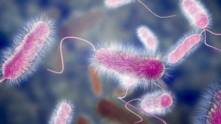 باکتری، میکروب و ویروس موجود در کولینگ تاور و کولر آبی