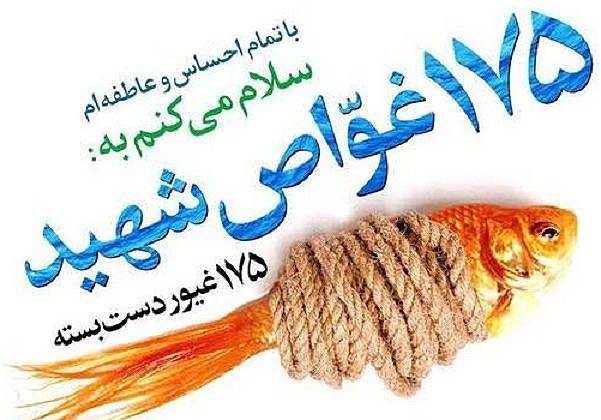 بازگشت ...