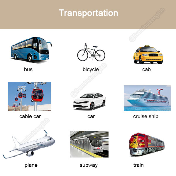 4 Types Of Transportation