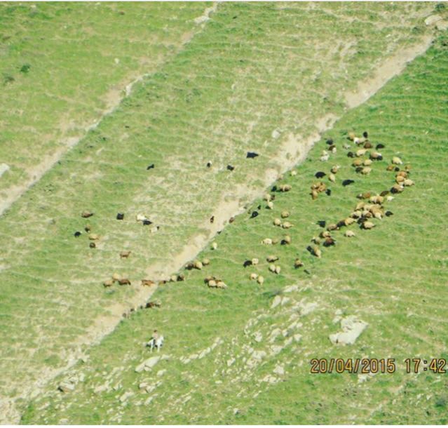 قلعه بهمن دژ روستای رویندزق 