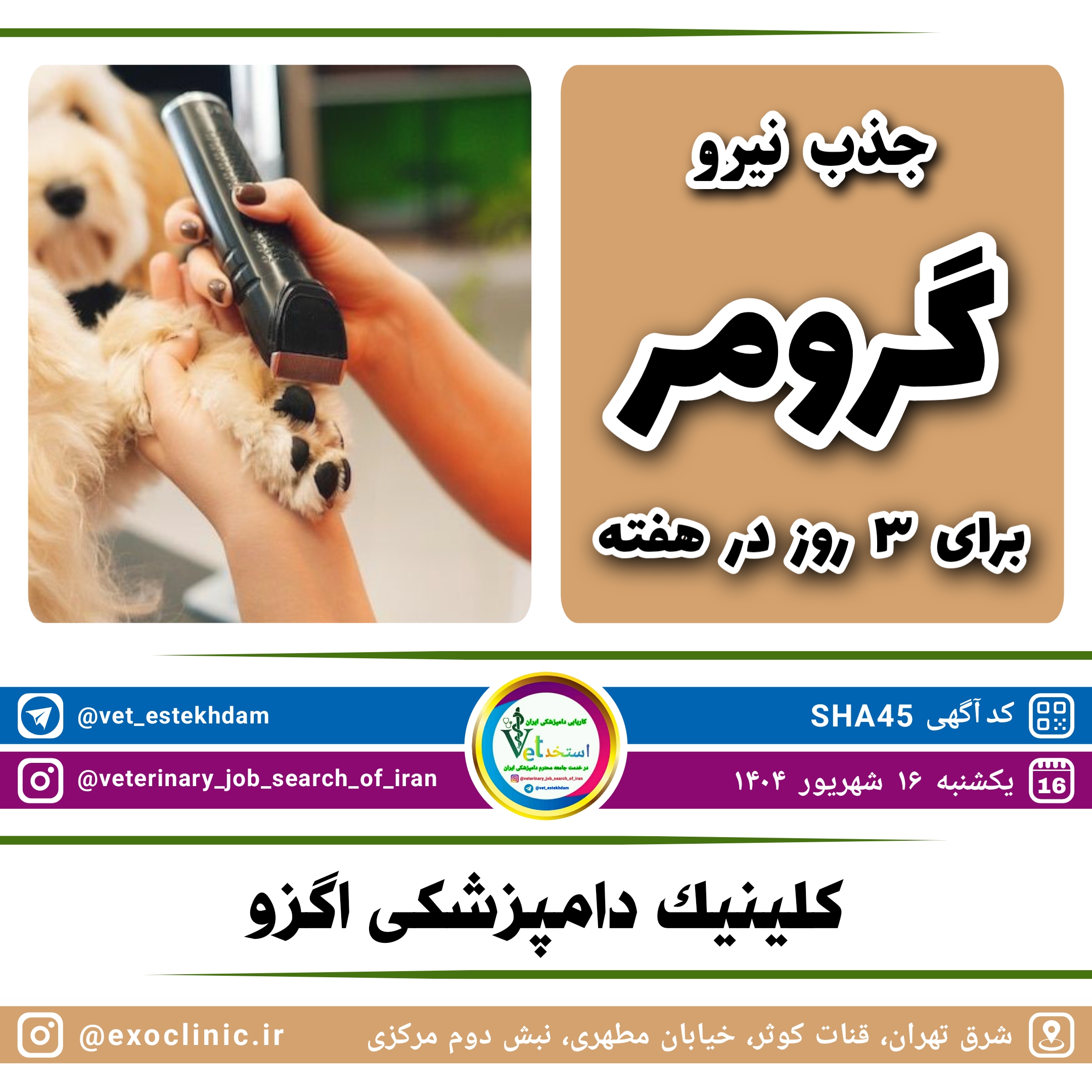آگهی استخدام استخدام پت گرومر در کلینیک دامپزشکی اگزو واقع در شرق تهران در نامشخص از شرکت <h2>PHP Error [8192]</h2><b>Message:</b> htmlspecialchars(): Passing null to parameter #1 ($string) of type string is deprecated<br><b>File:</b> /var/www/scraper/ads/src/View/partials/home-content.php<br><b>Line:</b> 64<br><hr><br />
<b>Deprecated</b>:  htmlspecialchars(): Passing null to parameter #1 ($string) of type string is deprecated in <b>/var/www/scraper/ads/src/View/partials/home-content.php</b> on line <b>64</b><br />
