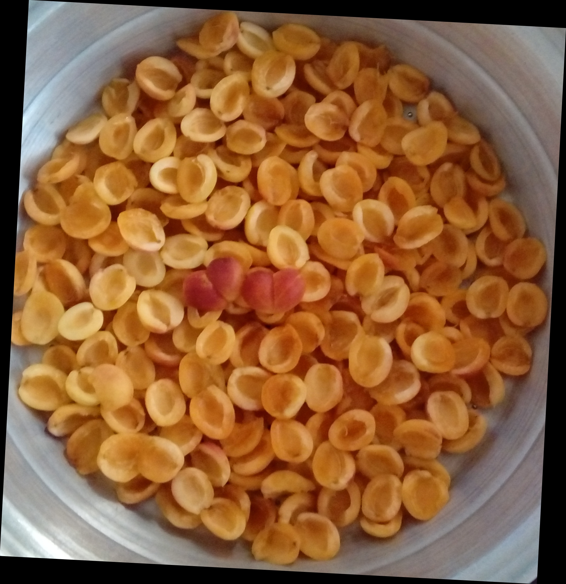 زردآلو
