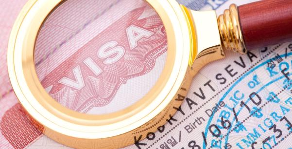 ویزای ملی (National Visas) نوع D