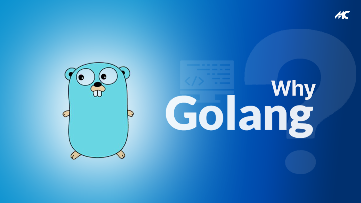 why golang