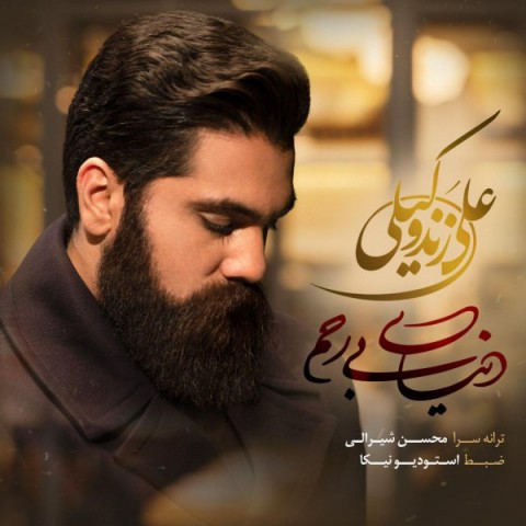 دانلود آهنگ جدید علی زندوکیلی به نام دنیایی بی رحم