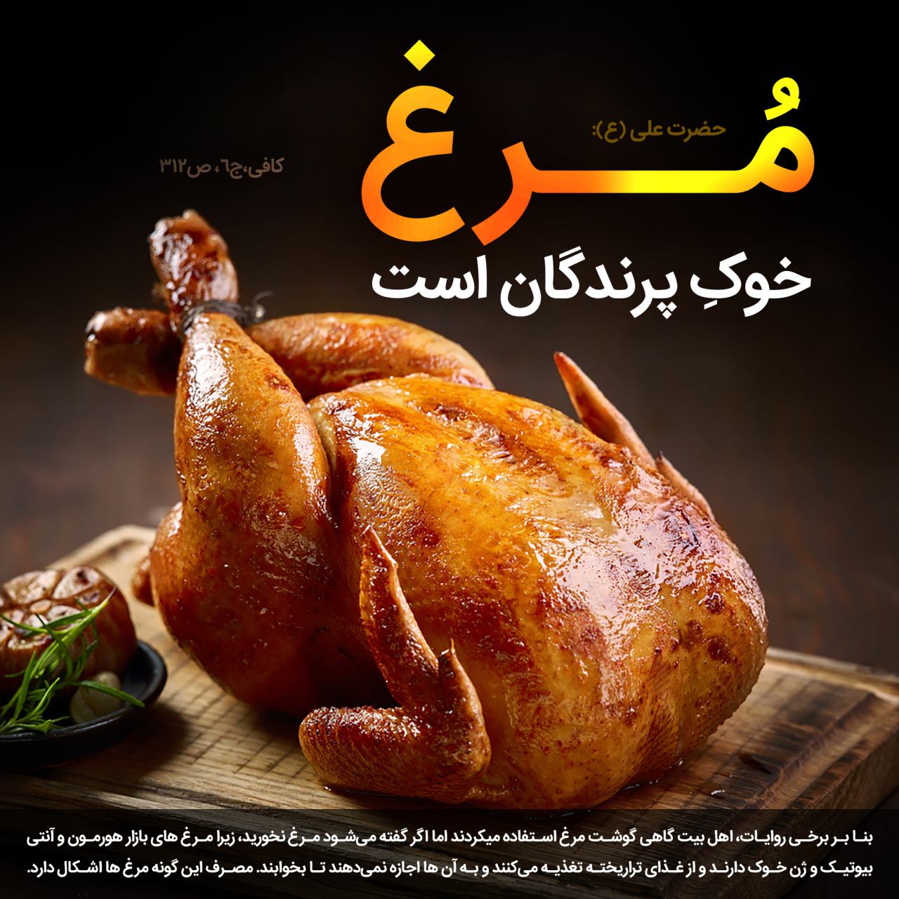 مرغ،خوک،خوک پرندگان،گوشت،گوشت مرغ،گوشت کبوتر،گوشت پرنده،مرغ در روایات،طب اسلامی،آشپزی اسلامی