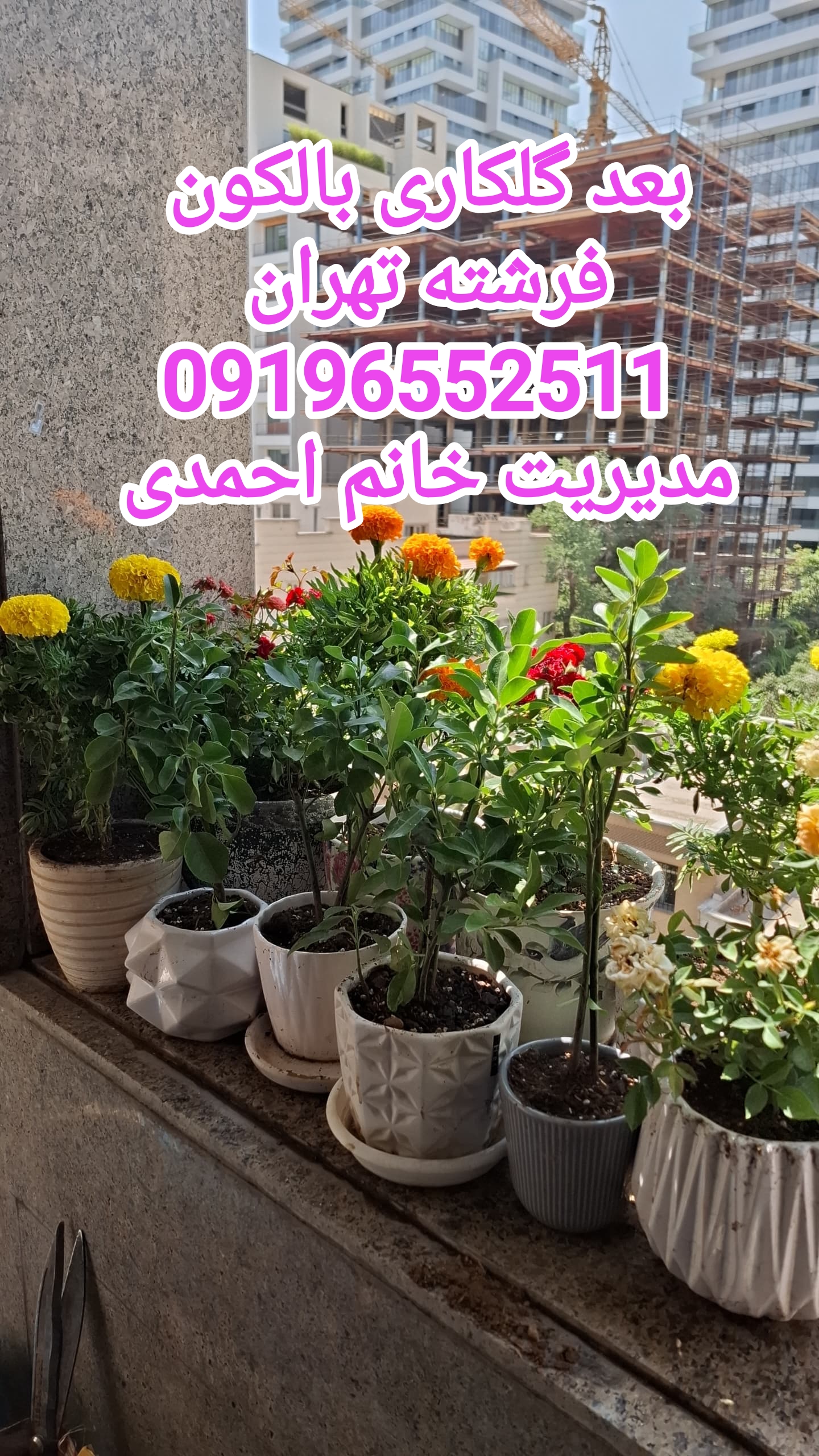 گلکاری باغچه بالکون تعویض خاک گلدان رسیدگی به گیاهان آپارتمانی  خیابان فرشته 09196552511 خانم احمدی