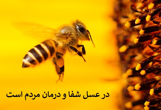 درمان عسل 