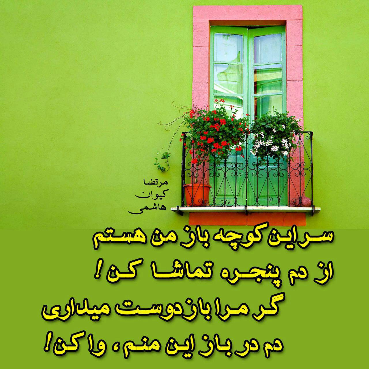 مرتضا کیوان هاشمی